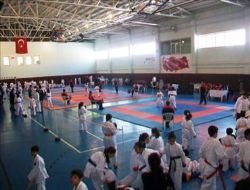 330 karateci ringe çıktı
